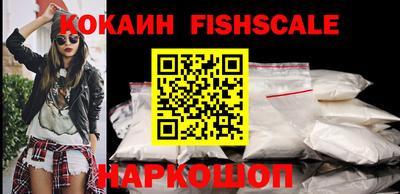 стафф Кингисепп