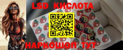 стафф Кингисепп