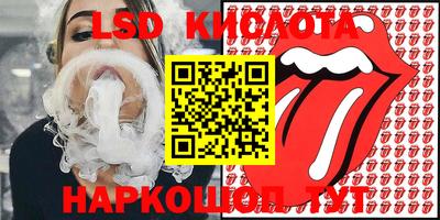 стафф Кингисепп
