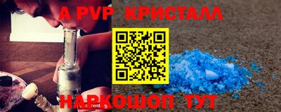 шишки Абакан
