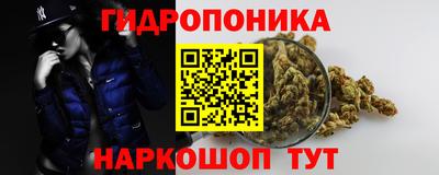 шишки Абакан