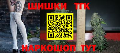 стафф Кингисепп