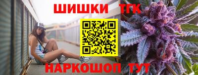 стафф Кингисепп