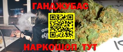 стафф Кингисепп