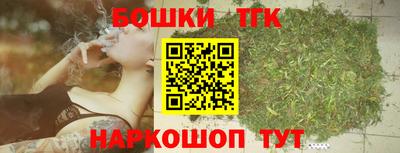стафф Кингисепп