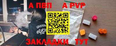 стафф Кингисепп