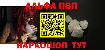 стафф Кингисепп