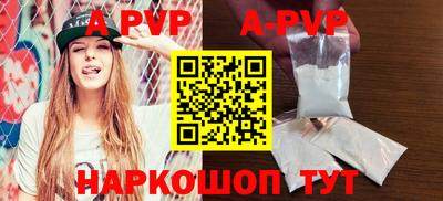 стафф Кингисепп