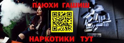 стафф Кингисепп