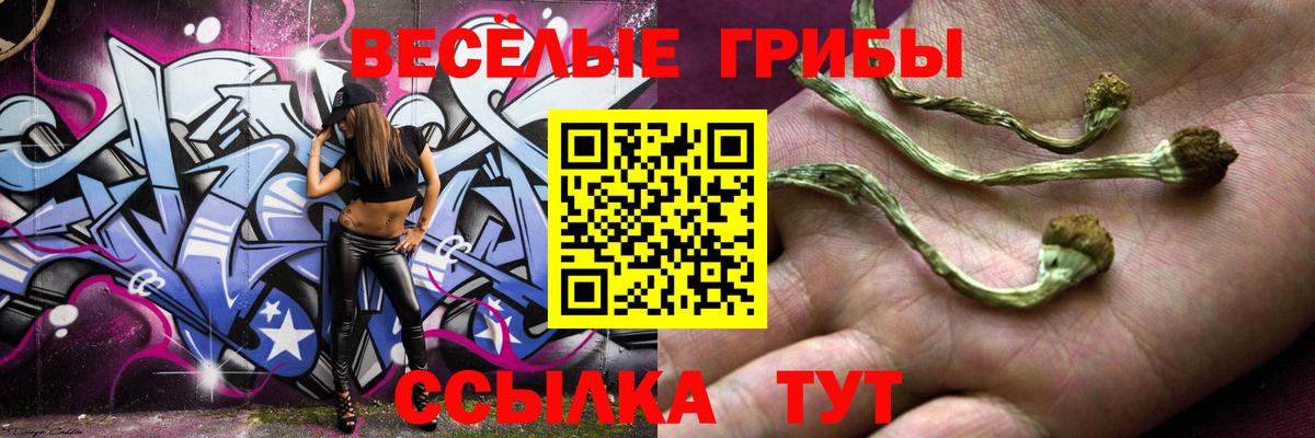 Галлюциногенные грибы GOLDEN TEACHER  Вход с VPN  наркота  Советск 