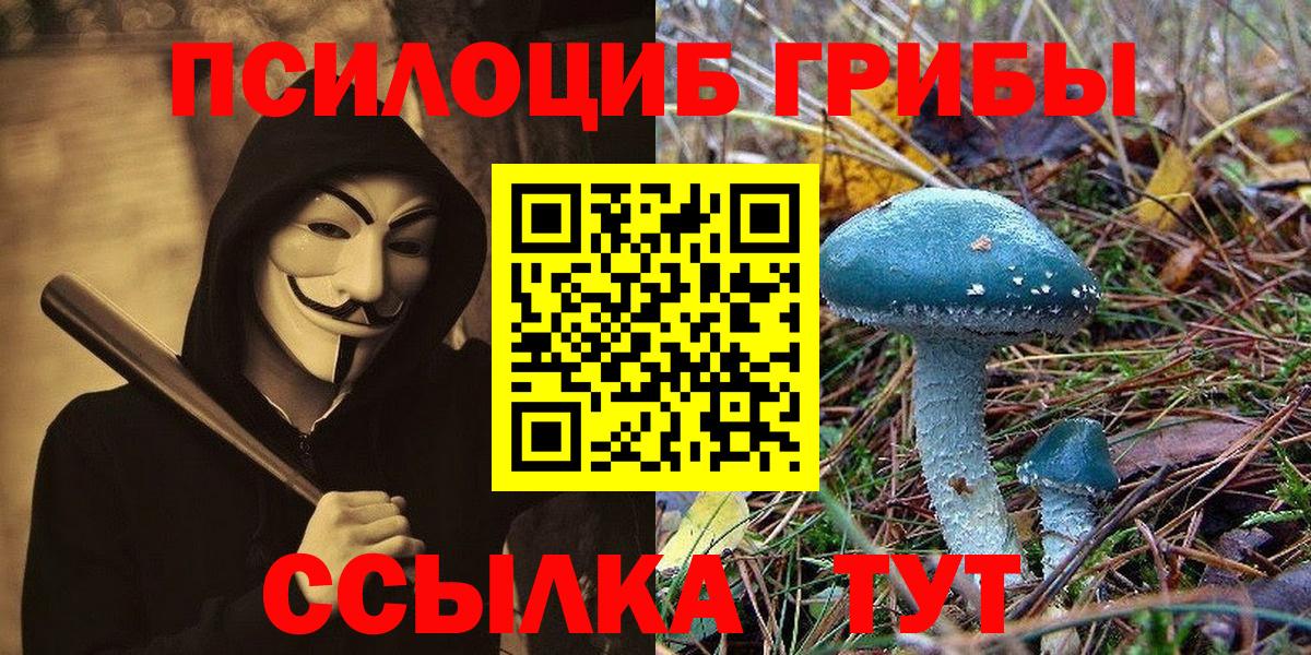 Галлюциногенные грибы мицелий Советск